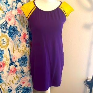 Purple and gold dress